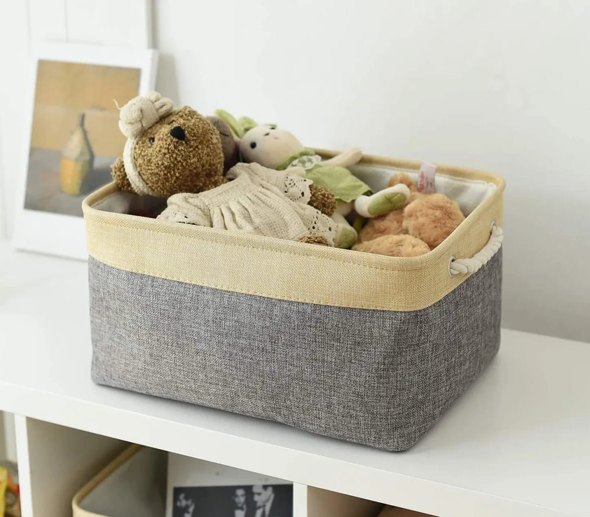 Basket Bin Organizer